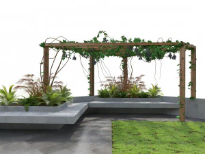 Crape vine pergola backyard 3D Model