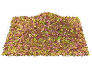 Mountain Maple Leafpile 3D Model