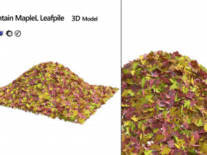Mountain Maple Leafpile 3D Model