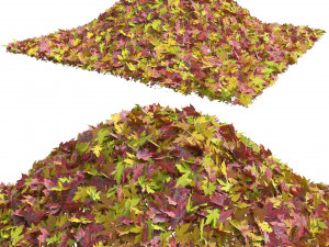 Mountain Maple Leafpile 3D Model