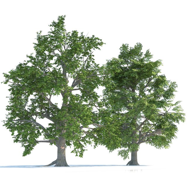 Low and high poly tree broadleaf trees Modèle 3D .c4d .max .obj .3ds .fbx .stl .blend 