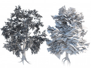 Low and high poly tree broadleaf trees Modèle 3D