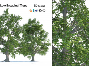 Low and high poly tree broadleaf trees Modèle 3D