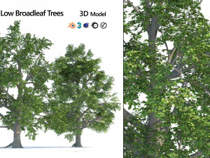 Low and high poly tree broadleaf trees 3D Model