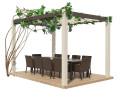 Modern pergola with climber grapevine 3D 모델