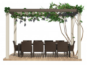 Modern pergola with climber grapevine 3D-Modell