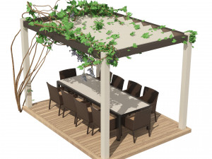 Modern pergola with climber grapevine 3D-Modell