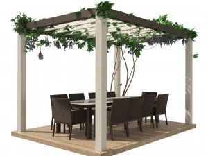 Modern pergola with climber grapevine 3D Model