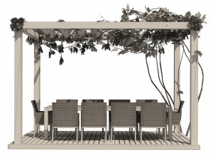Modern pergola with climber grapevine 3D-Modell