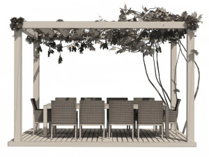 Modern pergola with climber grapevine 3D Model