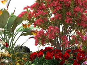 Spring Flower Collection 3D Model