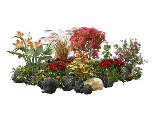 Spring Flower Collection 3D Model