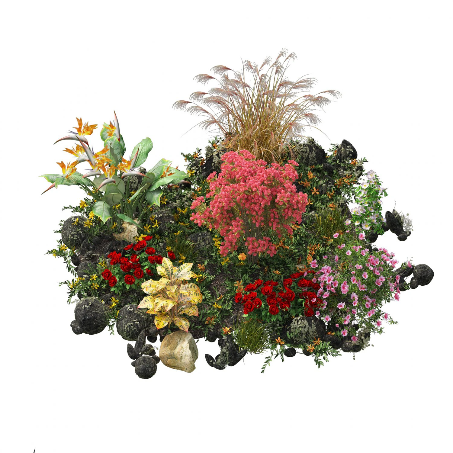 Spring Flower Collection 3D Model .c4d .max .obj .3ds .fbx .stl .blend 
