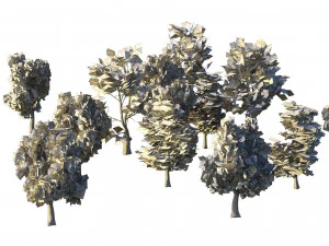 4 season London plane trees 3D Model