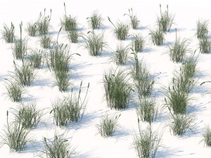 Broadleaf cattail grass cluster Modello 3D