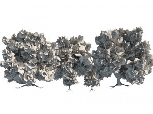 Large and young red maple trees 3D Model