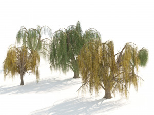 Summer and fall weeping willow trees with free 3D 模型