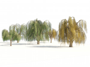 Summer and fall weeping willow trees with free 3D 模型