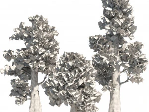 Giant sequoia Redwood trees 3D Model