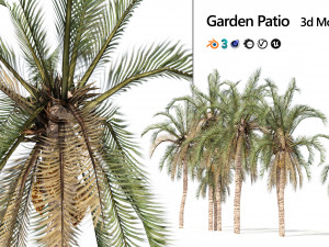 Low Poly Arabic Date palms 3D Model