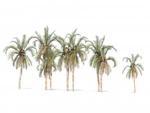 Low Poly Arabic Date palms 3D Model