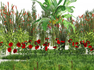 Rigged Low poly Plants collection 3D 模型