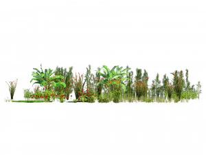 Rigged Low poly Plants collection 3D Model