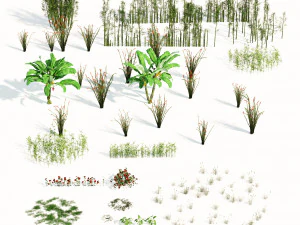 Rigged Low poly Plants collection 3D Model