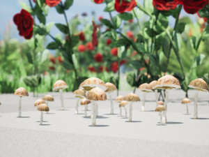 Rigged Low poly Plants collection 3D 模型