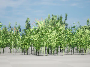 Rigged Low poly Plants collection 3D Model