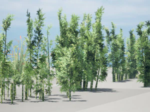 Rigged Low poly Plants collection 3D Model