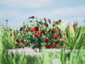 Rigged Low poly Plants collection 3D 模型