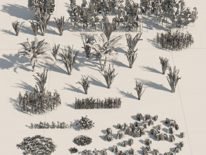 Rigged Low poly Plants collection 3D 模型