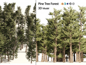 Conifer pine forest trees 3D Model