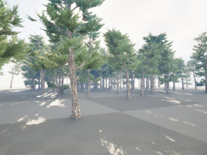 Conifer pine forest trees 3D Model