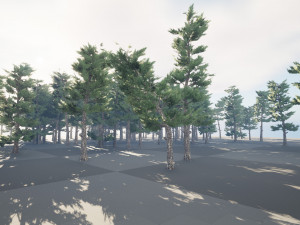 Conifer pine forest trees 3D Model