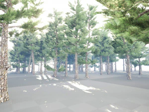 Conifer pine forest trees 3D Model