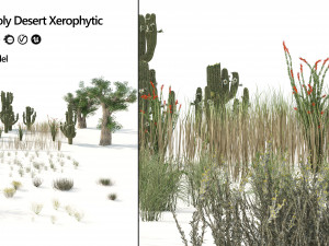 Desert Vegetation 3D Model