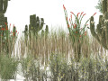 Desert Vegetation Modello 3D