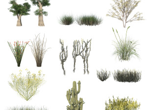 Desert Vegetation 3D Model