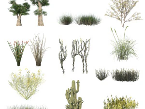 Desert Vegetation 3D Model
