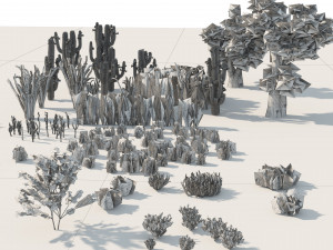 Desert Vegetation 3D Model