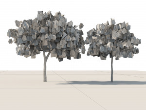 Low poly desert Ghaf trees of Emirates 3D Model