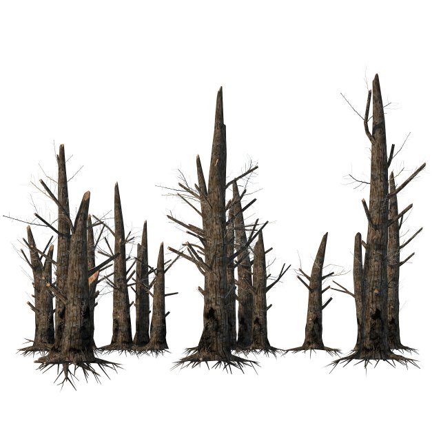 Fire-killed trees Model 3D .c4d .max .obj .3ds .fbx .stl .blend 