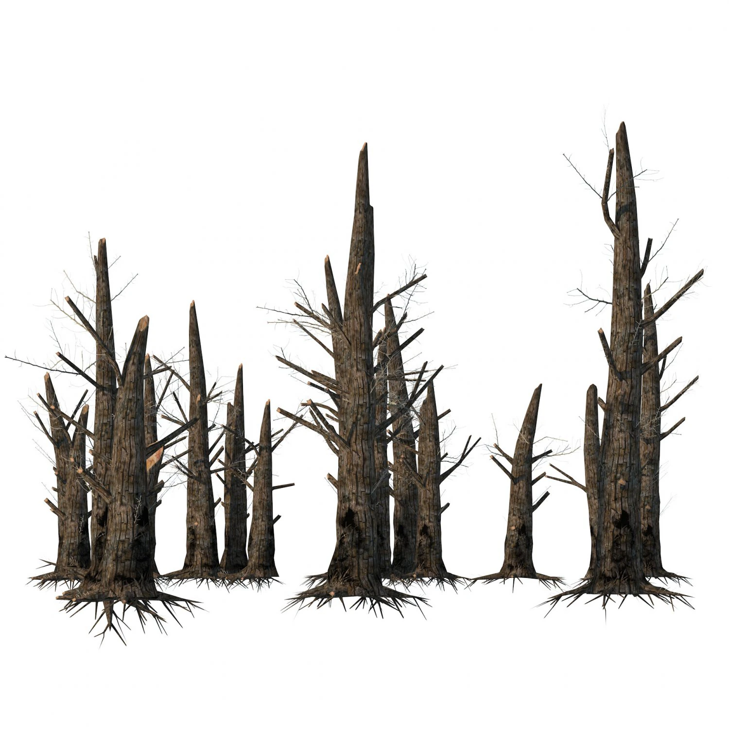 Fire-killed trees 3D Model .c4d .max .obj .3ds .fbx .stl .blend 