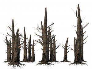 Fire-killed trees 3D मॉडल