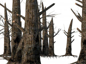 Fire-killed trees 3D Model