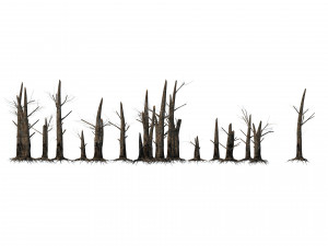 Fire-killed trees Model 3D