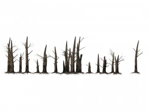 Fire-killed trees 3D Model