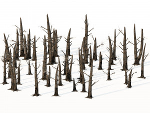 Fire-killed trees Model 3D